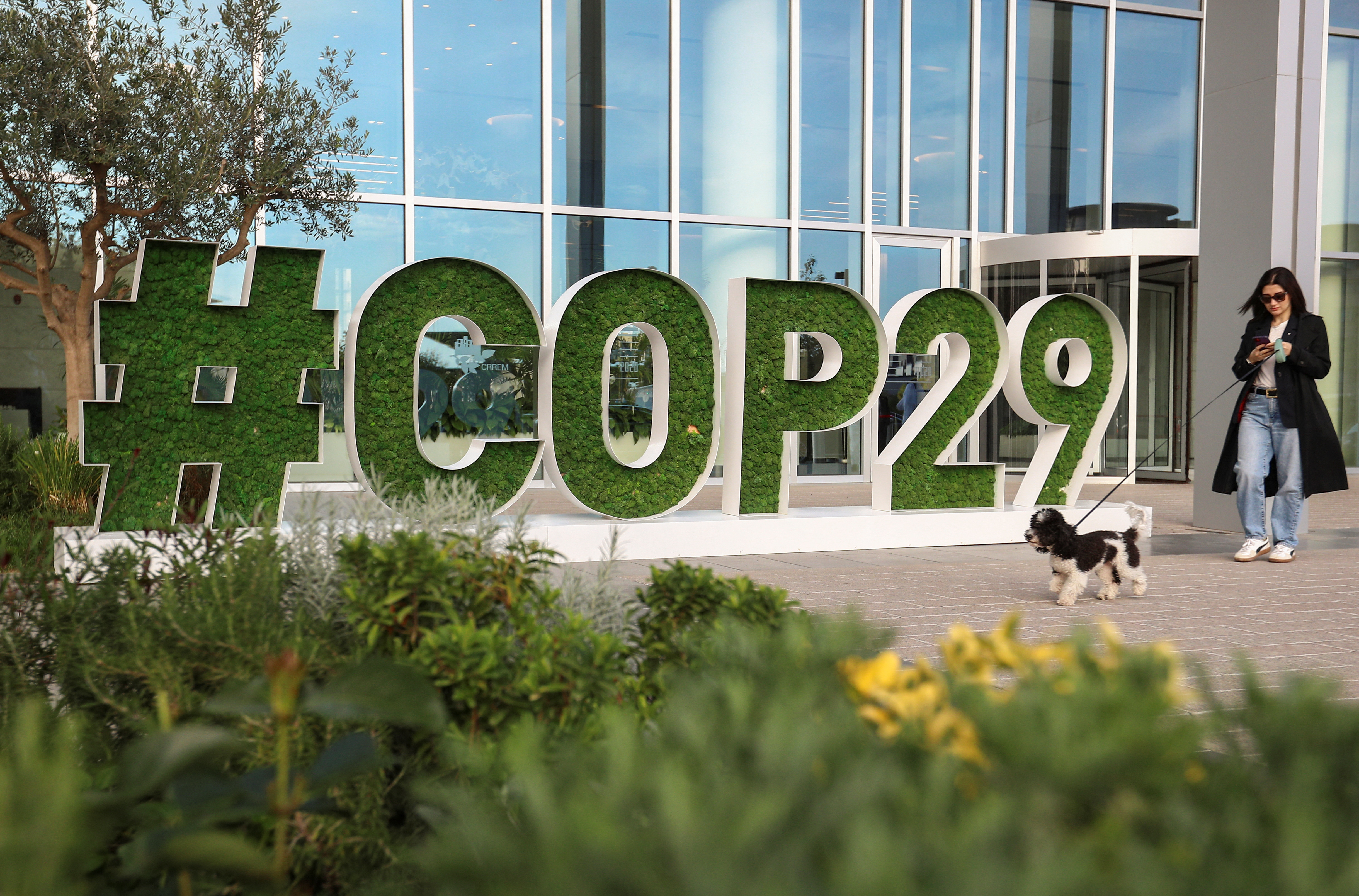 Preparation for the COP29 United Nations Climate Change Conference, in Baku