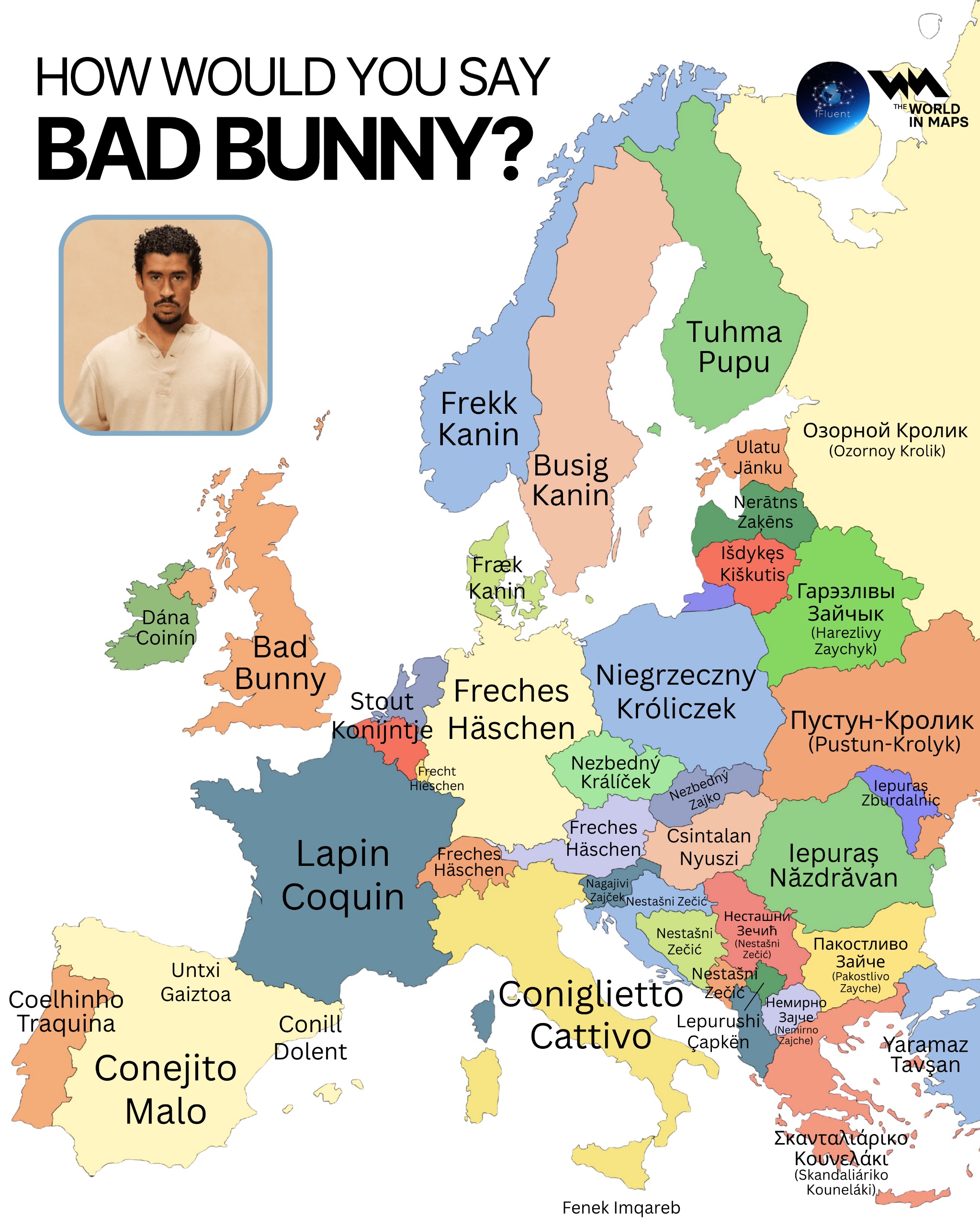 WhatsApp Image 2026-02-10 at 16.07.35