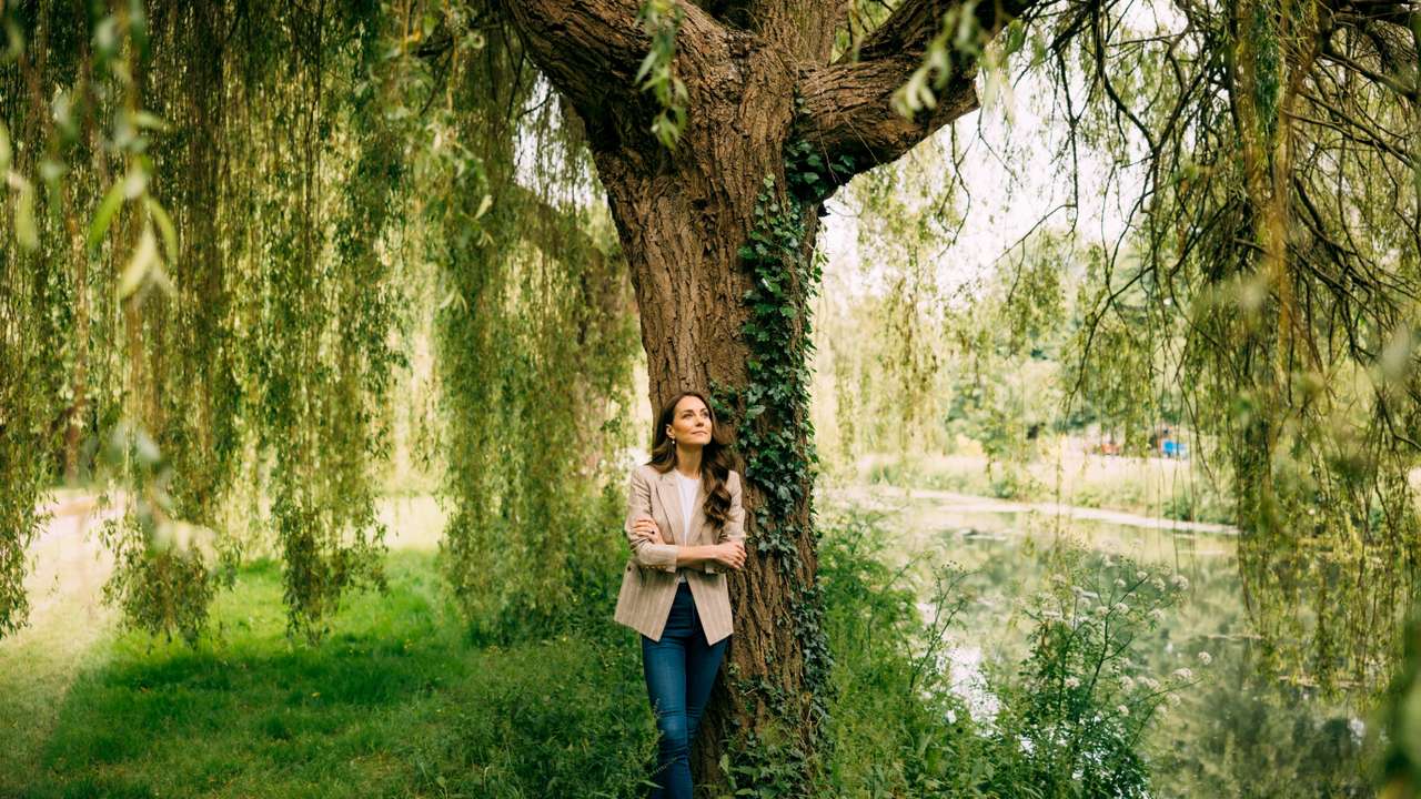 Princess of Wales cancer update