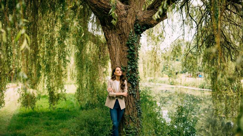Princess of Wales cancer update