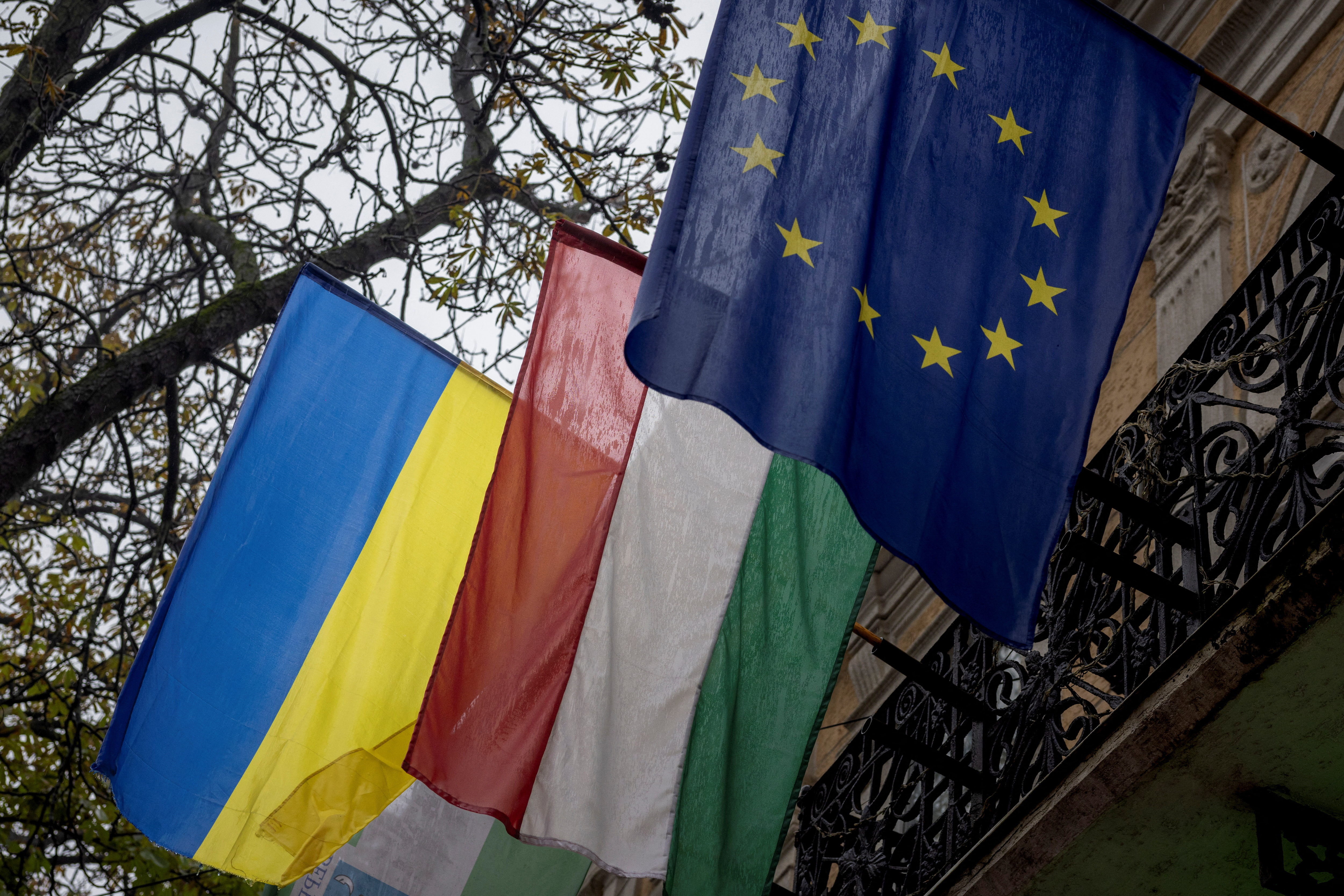 Hungarian minority in Western Ukraine