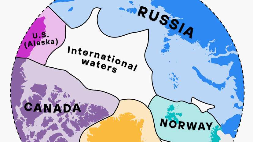 WhatsApp Image 2026-01-15 at 17.24.38