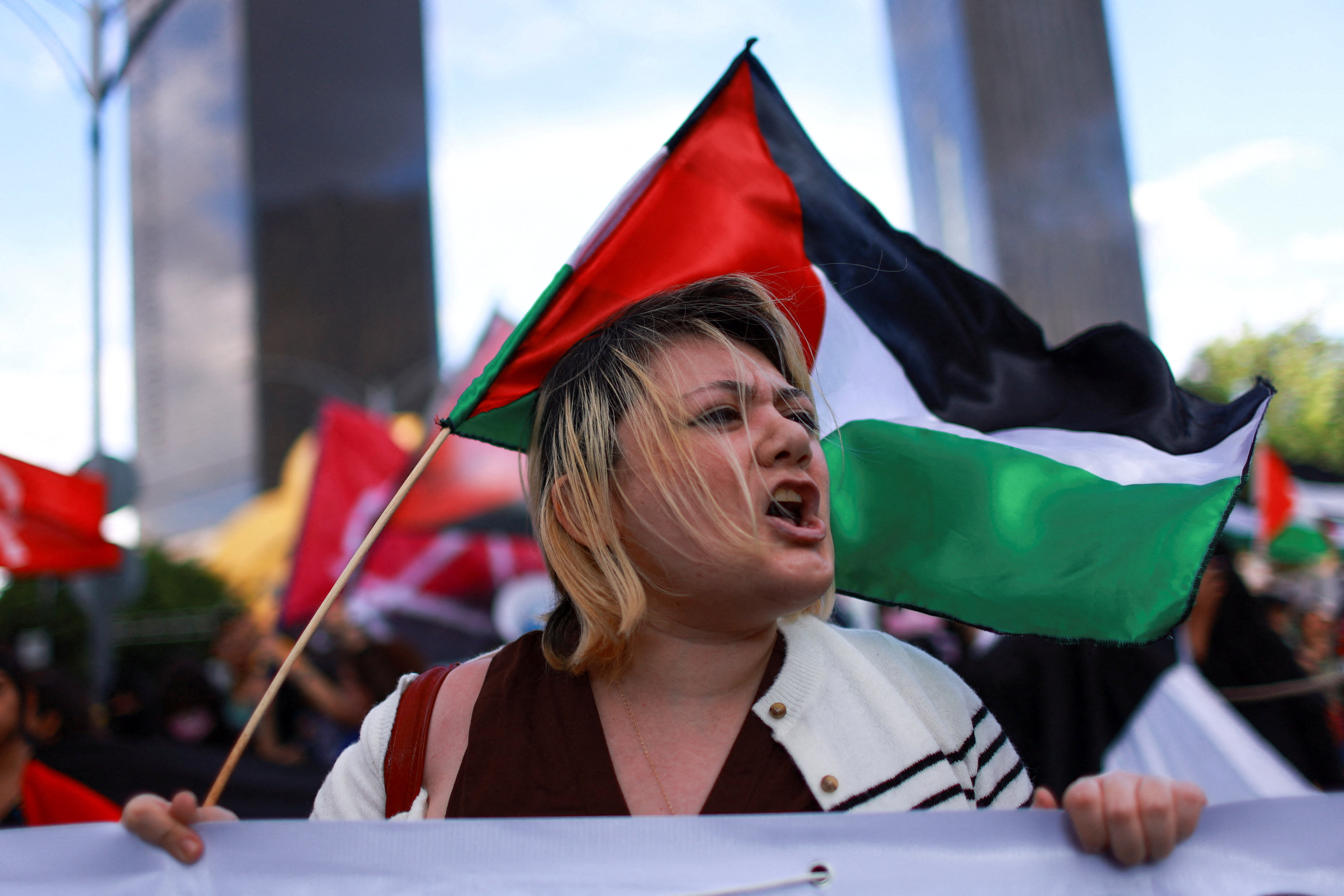 Pro-Palestinian protest in Mexico City