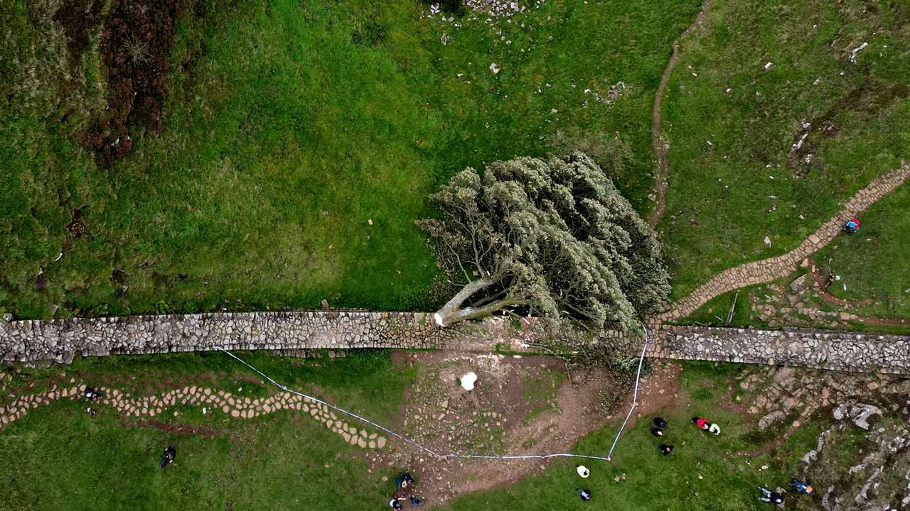 General view of the felled Sycamore Gap in Northumberland National Park