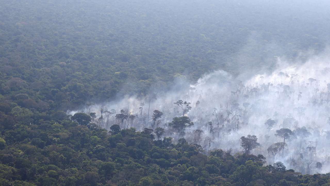 FILE PHOTO: Experts boost Amazon monitoring as annual burning season picks up