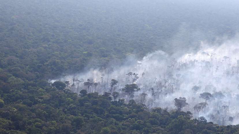 FILE PHOTO: Experts boost Amazon monitoring as annual burning season picks up