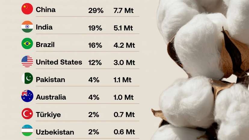 Cotton production