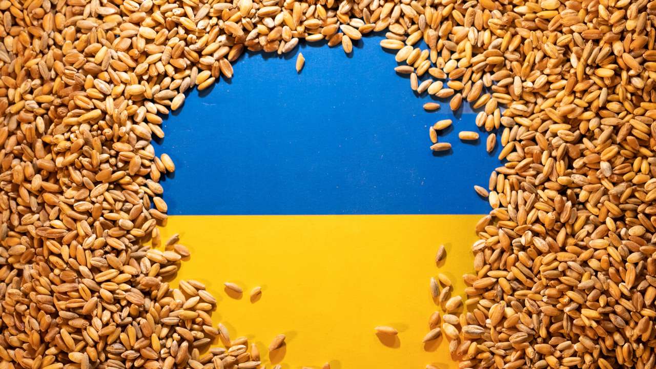 Illustration shows Ukrainian flag and grain