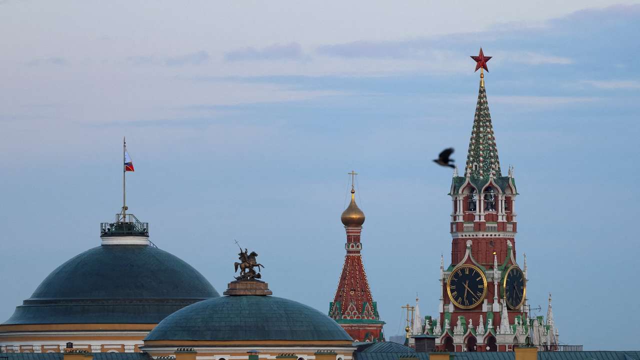 FILE PHOTO: A bird flies with backdrop of the Kremlin in Moscow