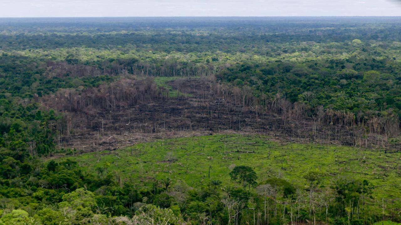 FILE PHOTO: A wooded area with deforestation is seen in the Serrania del Chiribiquete