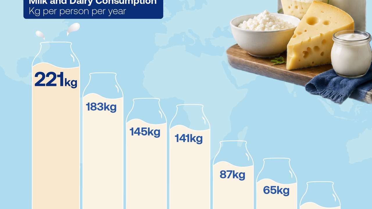 Europe leads world in milk and dairy consumption at 221 kg per person