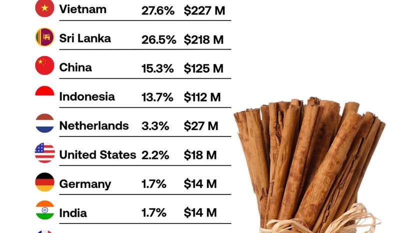 SnapInsta.to_604523969_17933230044119481_6363789197749819801_n