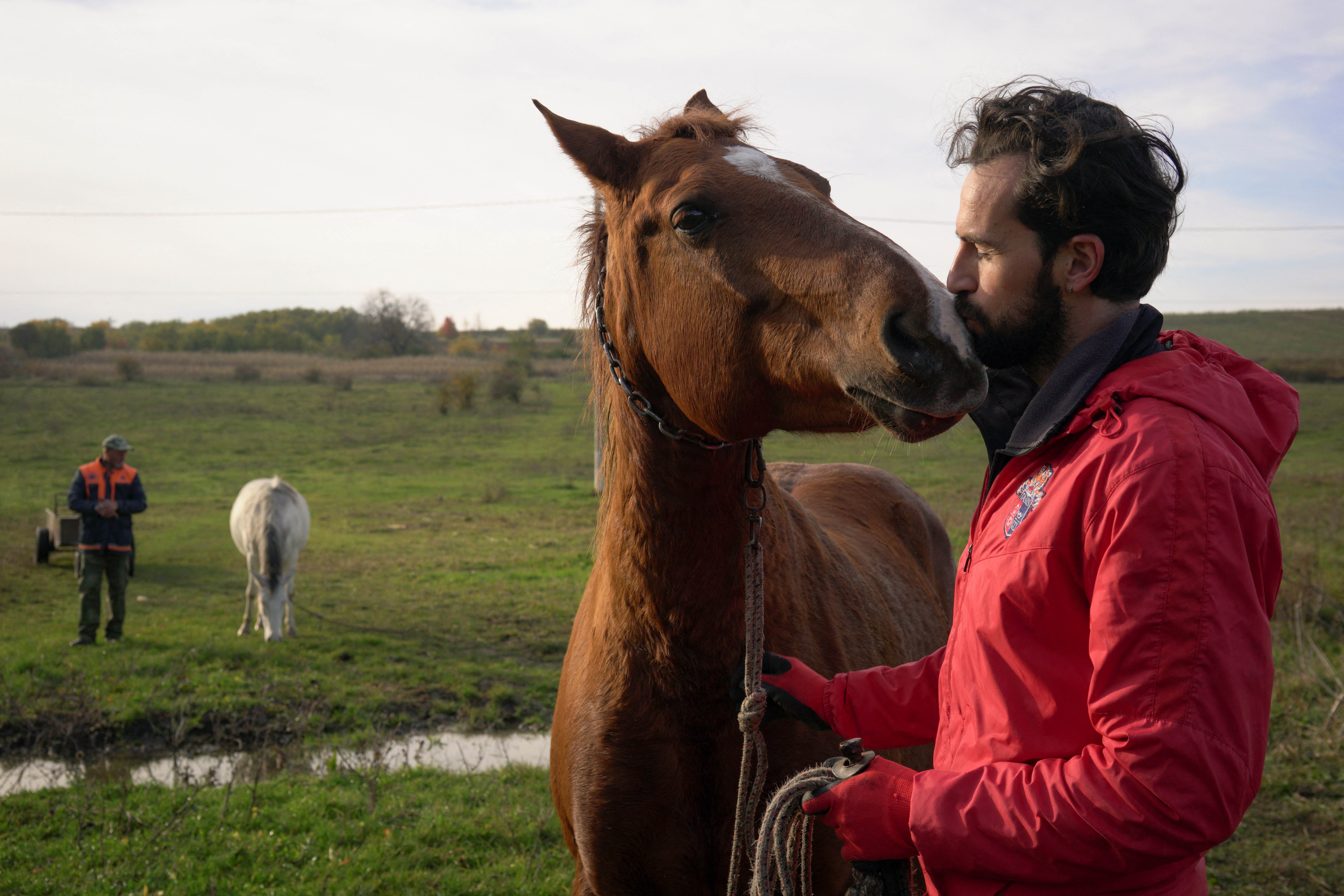 Horse sanctuary co-owner Valeriu Istrati tends horses in Riskova