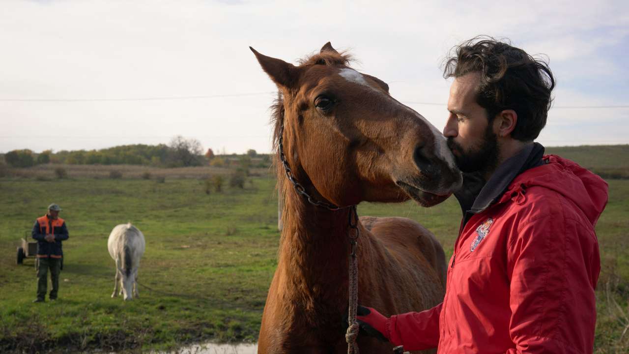 Horse sanctuary co-owner Valeriu Istrati tends horses in Riskova