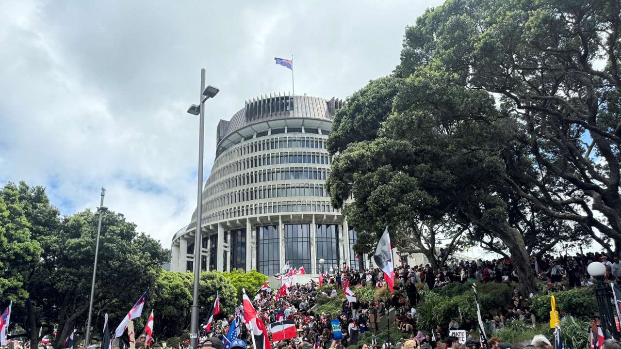FILE PHOTO: People march to the parliament in protest of the Treaty Principles Bill, in Wellington