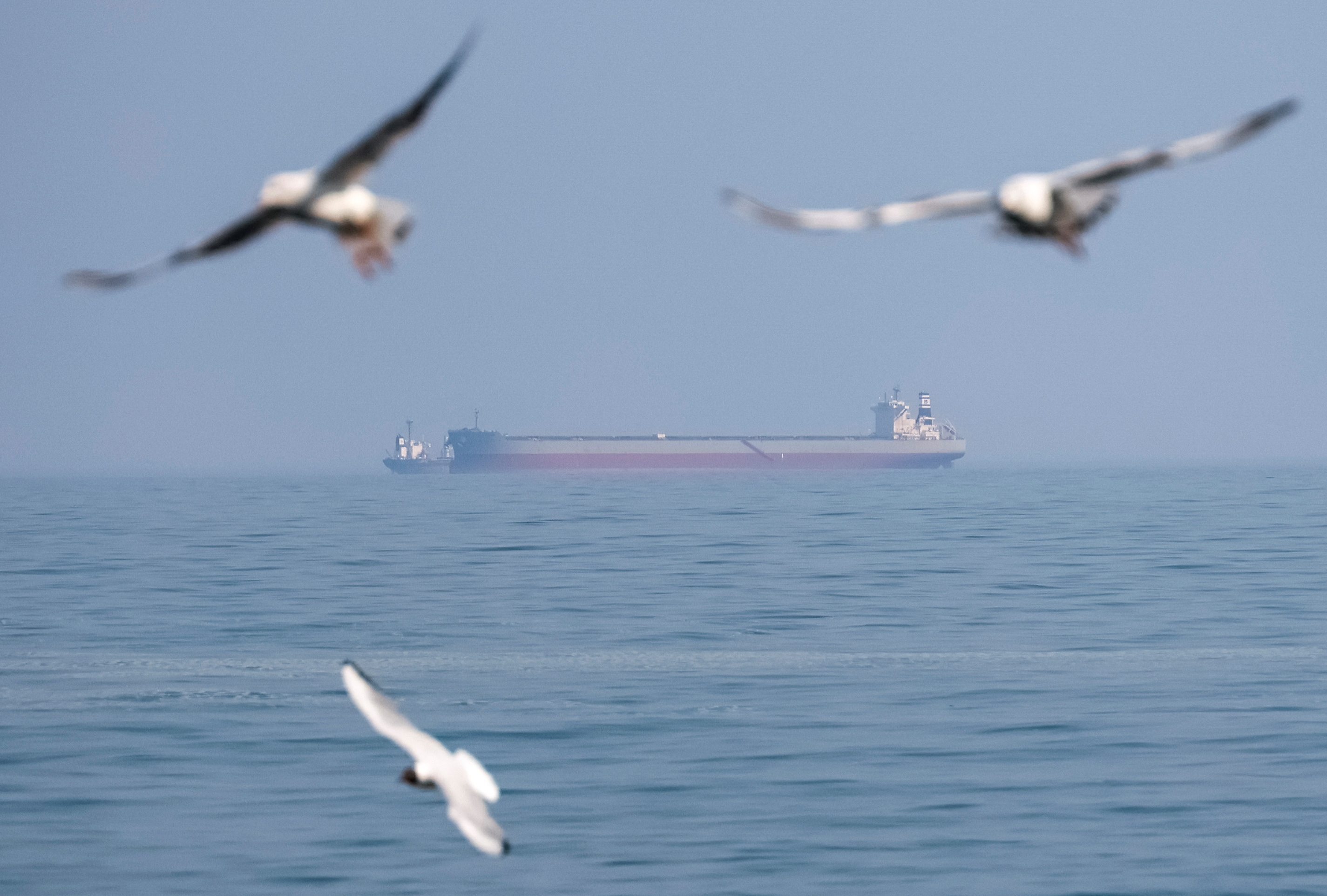 A cargo vessel is seen near a port in the Black Sea in Odesa