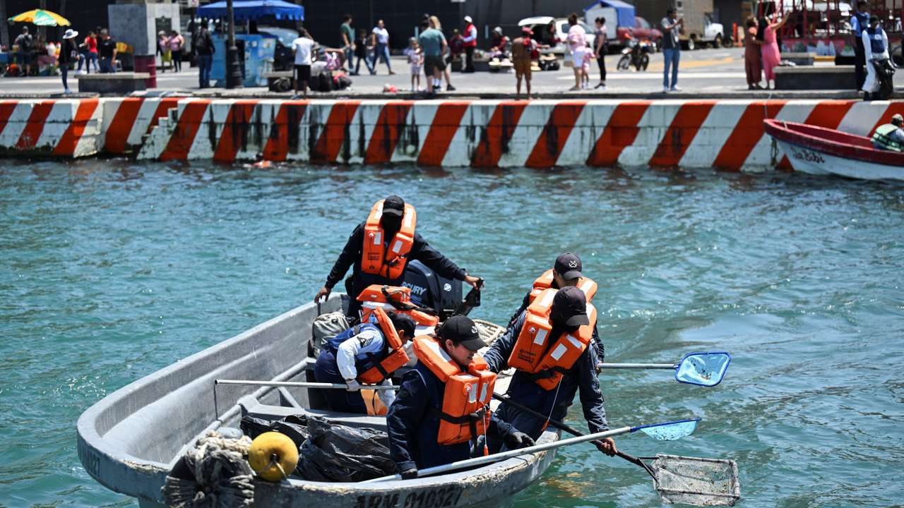Mexican navy removes tar from Veracruz shoreline after oil contamination