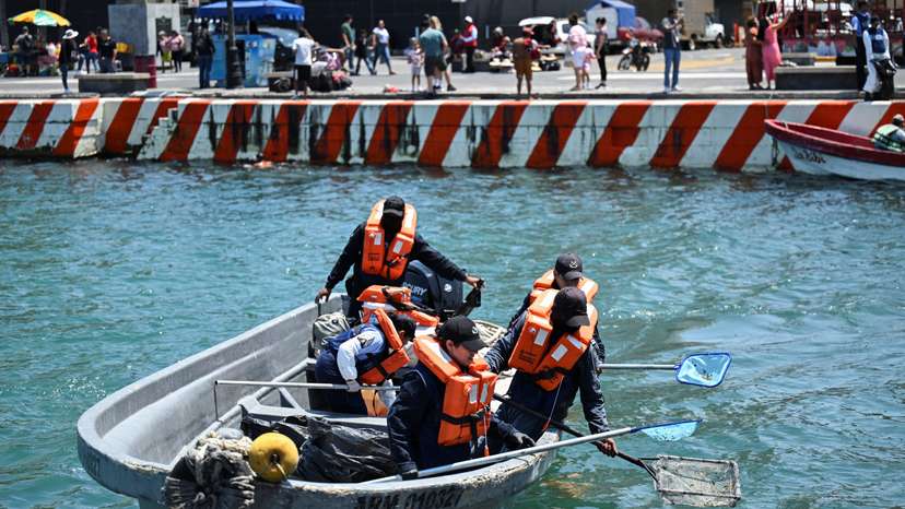 Mexican navy removes tar from Veracruz shoreline after oil contamination