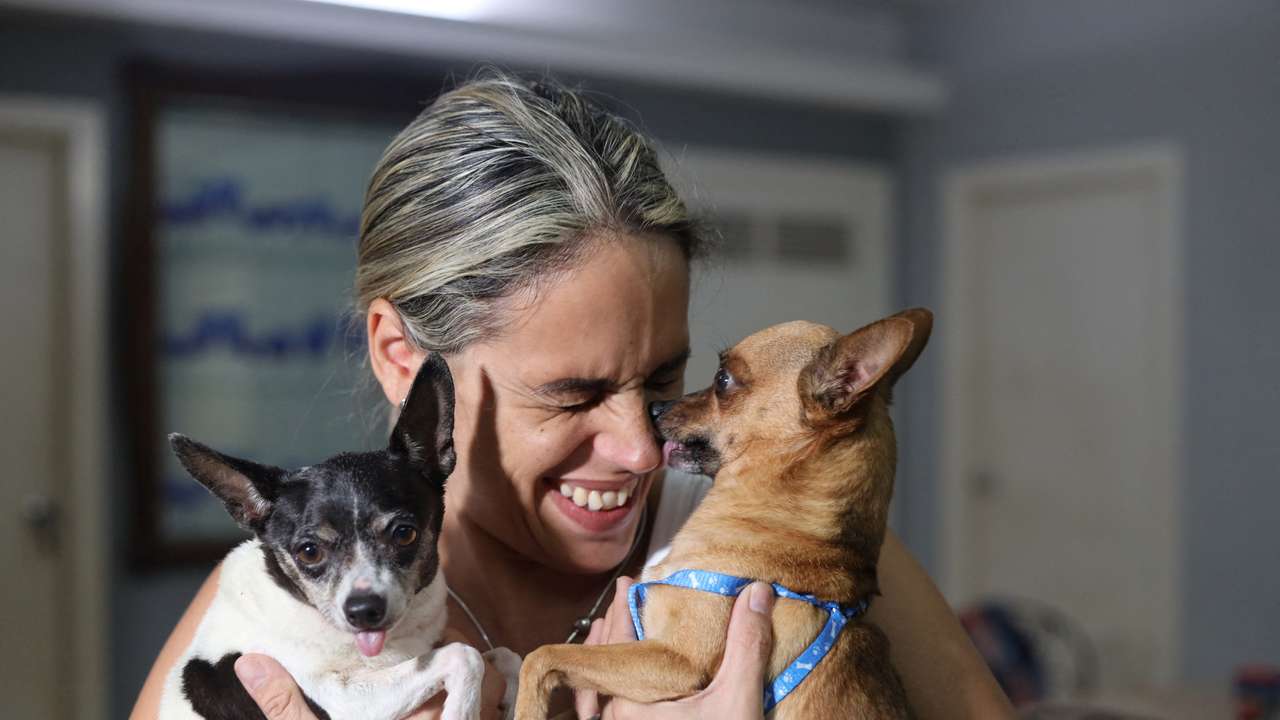 Migrants' pets in Cuba wait for permits to join owners abroad