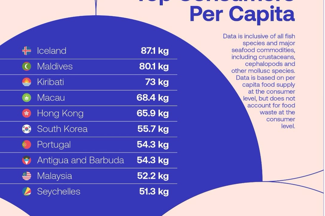 Screenshot 2025-04-30 at 4.16.42 PM