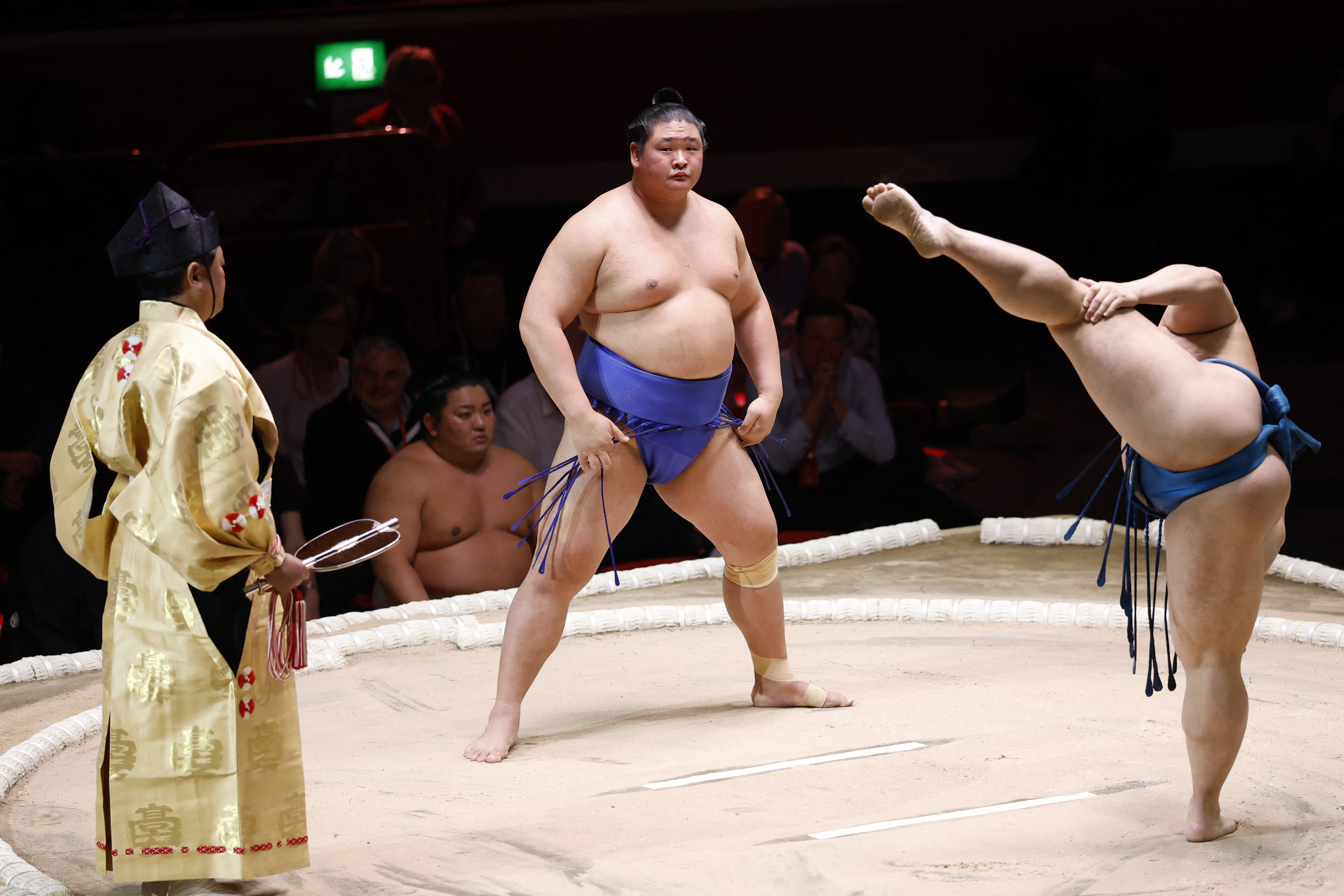 The Grand Sumo Tournament