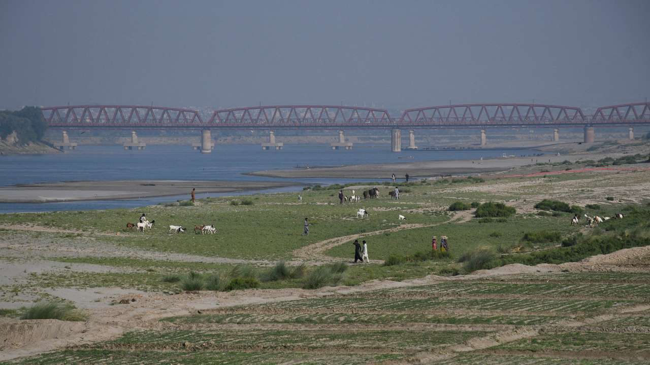 FILE PHOTO: View of a cultivated land on the dry riverbed of the Indus River in Hyderabad
