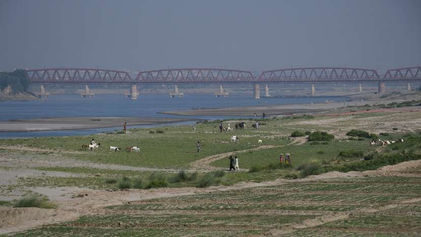 FILE PHOTO: View of a cultivated land on the dry riverbed of the Indus River in Hyderabad