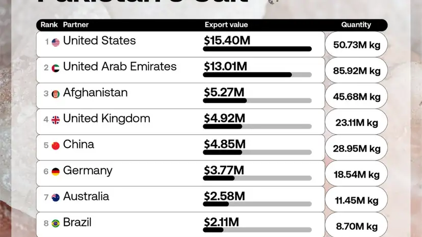 US leads Pakistan's salt export markets as UAE buys largest volume in 2024