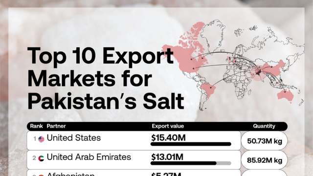 US leads Pakistan's salt export markets as UAE buys largest volume in 2024