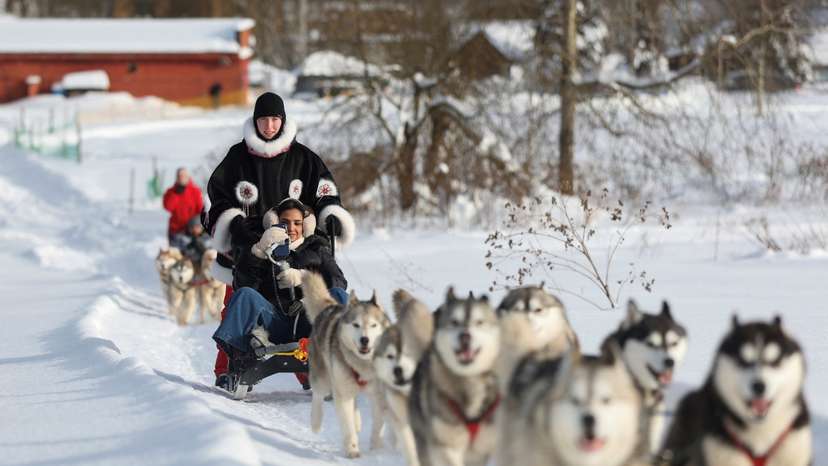 A tourist from Oman visits Husky Land Park in the Moscow region