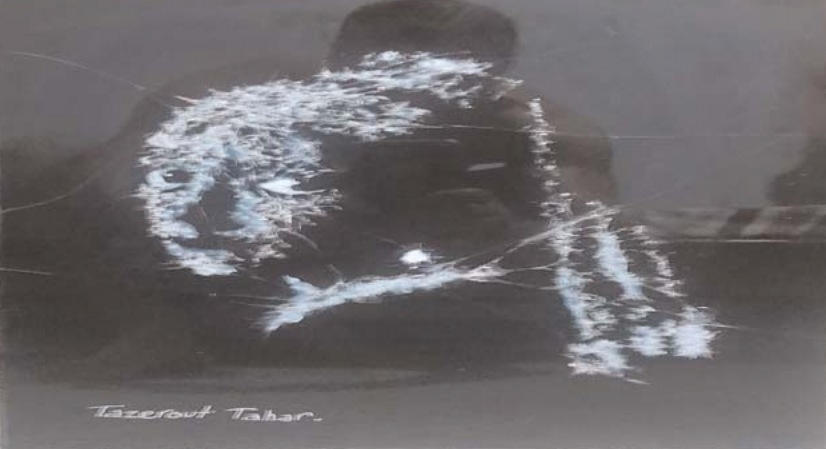 Tazerout Tahar's artwork Eclosion de verre