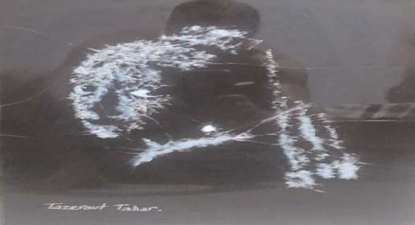 Tazerout Tahar's artwork Eclosion de verre