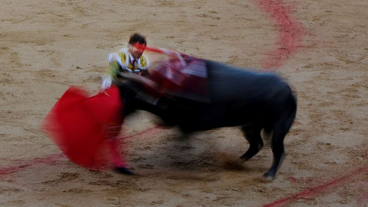 FILE PHOTO: Seville bullring livens debate with move to let children in free