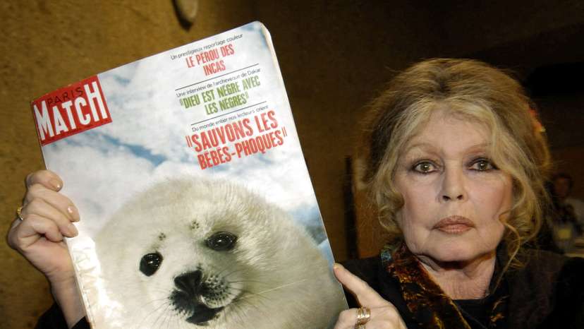 FILE PHOTO: Former French actress Brigitte Bardot displays a 1969 copy of french magazine "Paris Match" showing ..