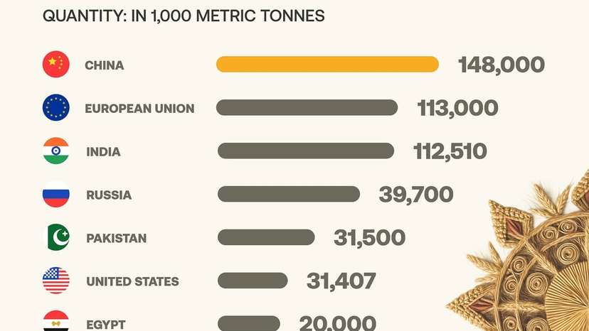 Global wheat production is expected to reach a record high this season, led by strong harvests i