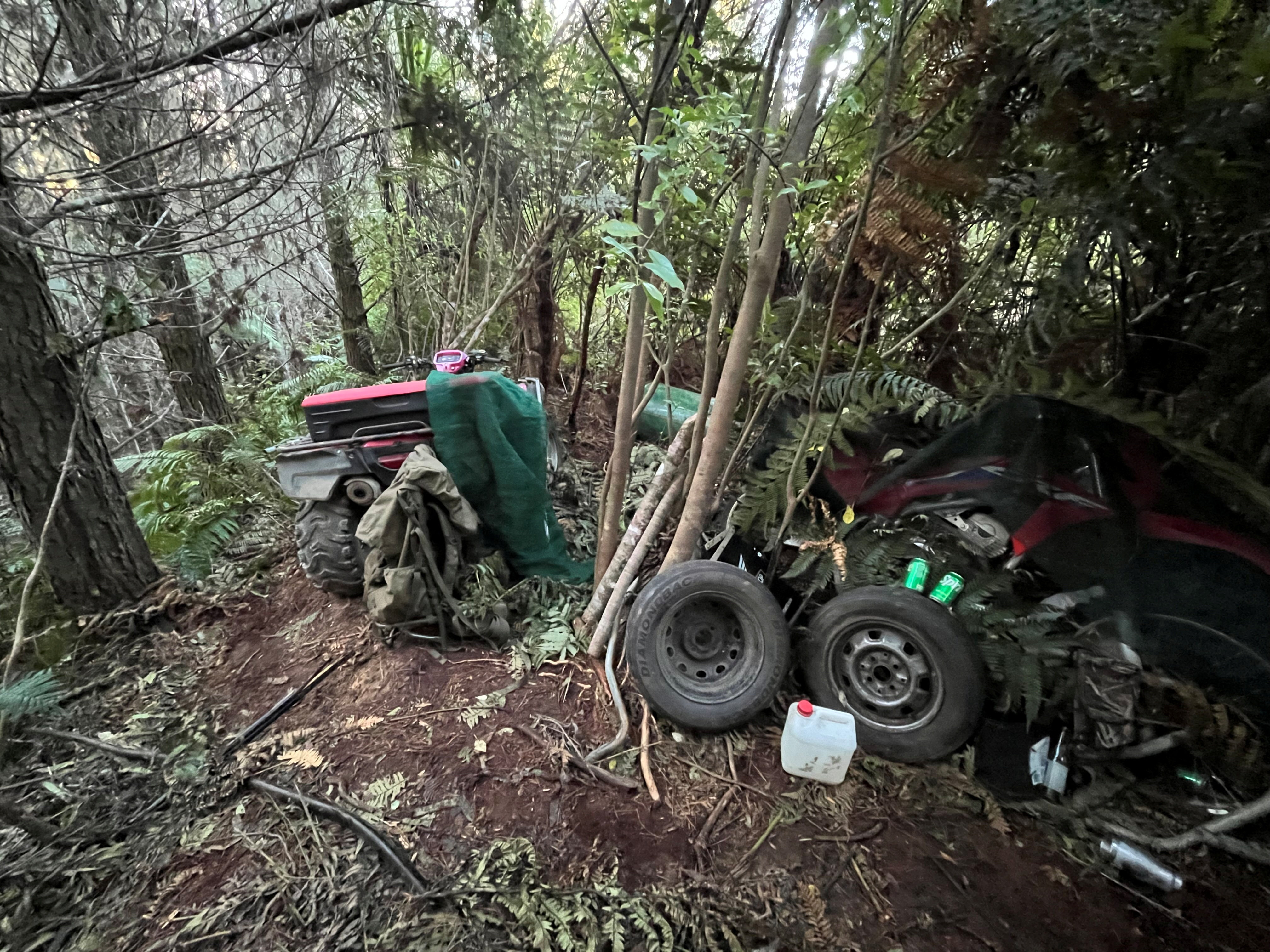 New Zealand police shoot dead fugitive father on the run with children