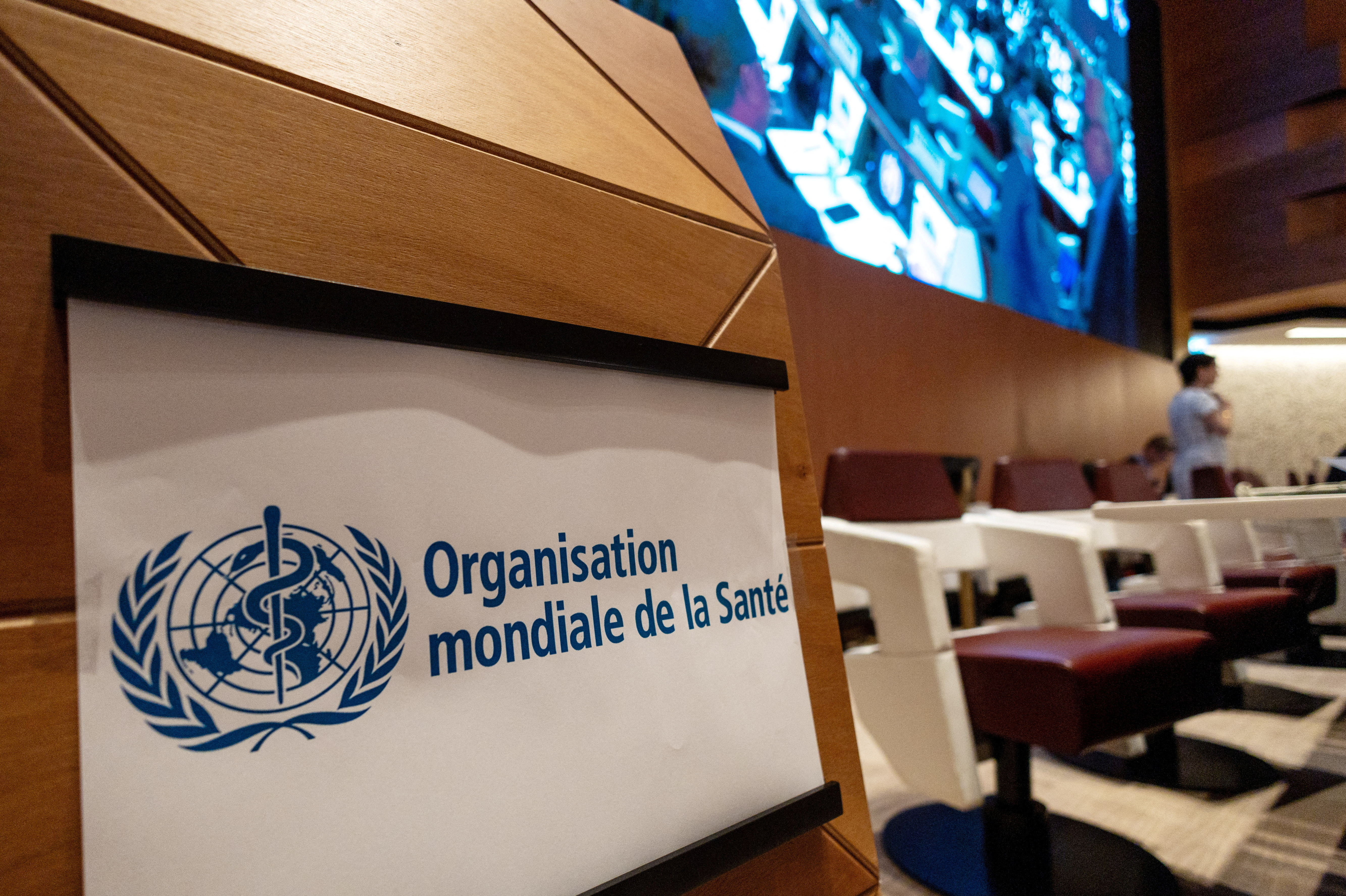 FILE PHOTO: The 77th World Health Assembly of the WHO at the United Nations in Geneva