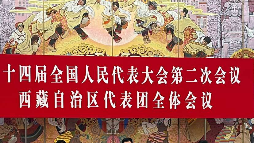Tibet delegation group meeting during National People's Congress in Beijing