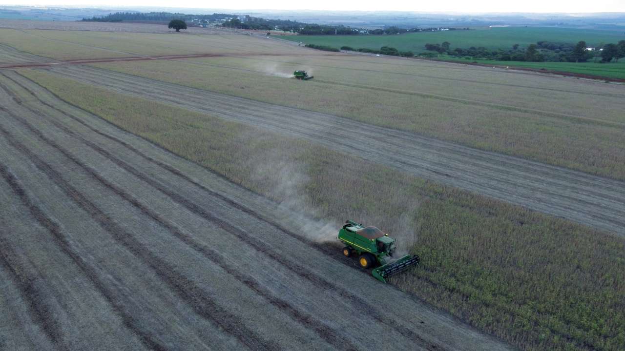 FILE PHOTO: Soybean harvest on a farm in Maringa