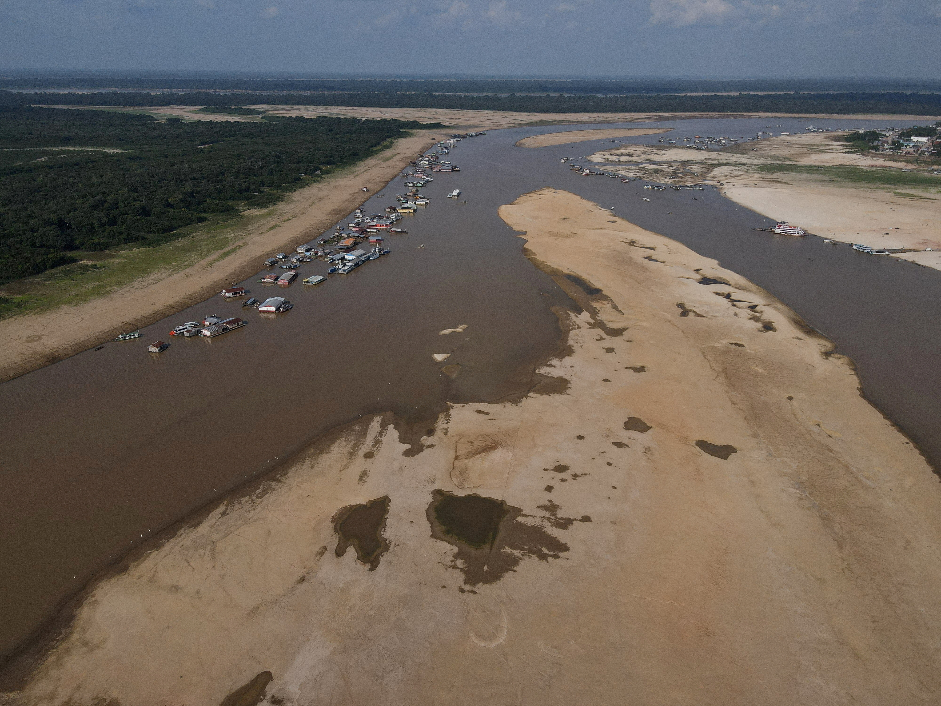 FILE PHOTO: Death of dolphins in Amazon linked to severe drought and heat