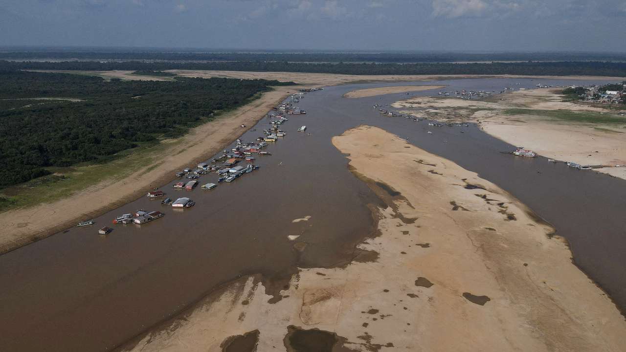 FILE PHOTO: Death of dolphins in Amazon linked to severe drought and heat