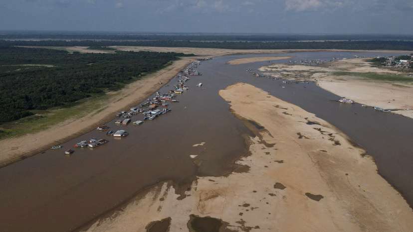 FILE PHOTO: Death of dolphins in Amazon linked to severe drought and heat