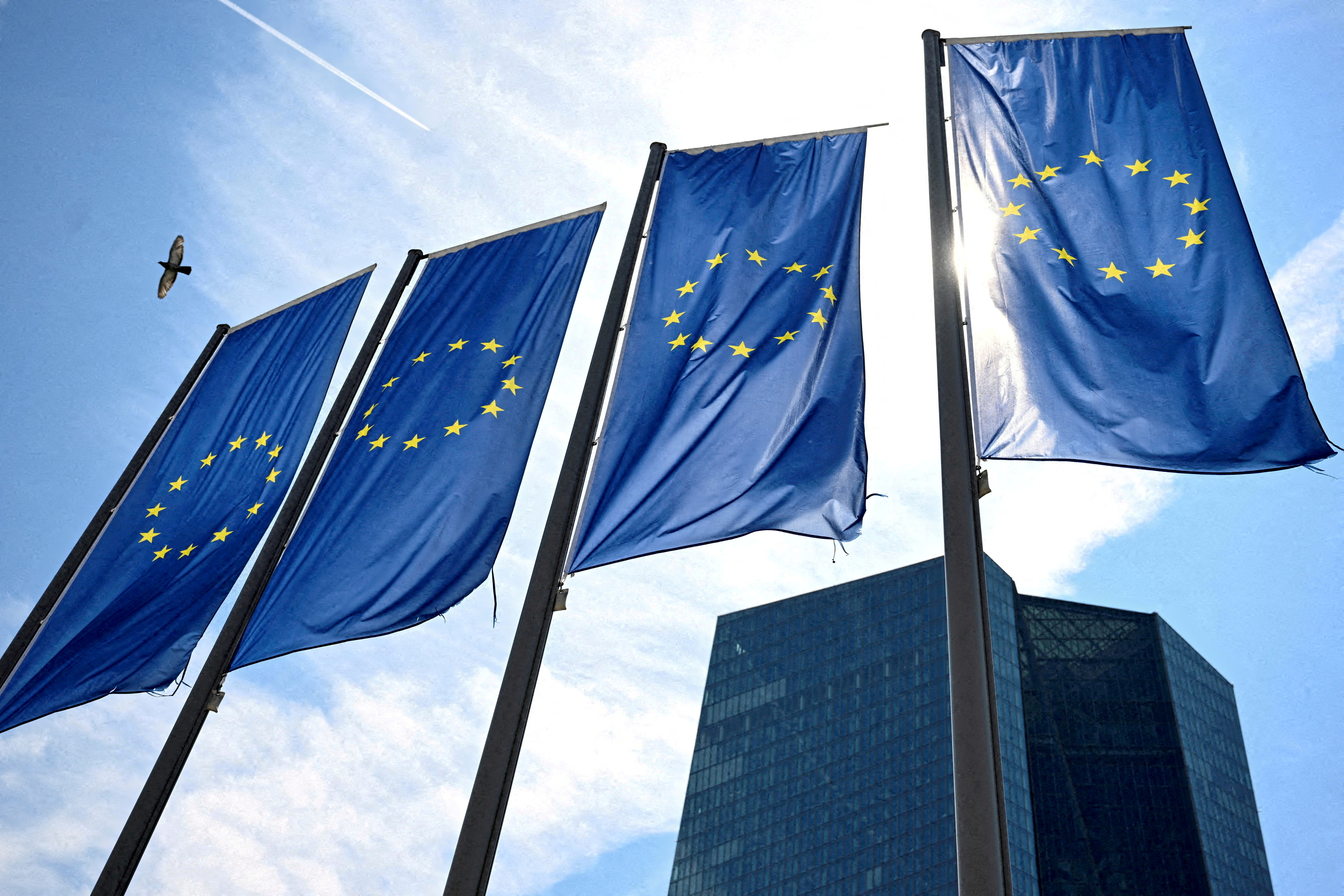 FILE PHOTO: View of European Central Bank headquarters in Frankfurt, Germany
