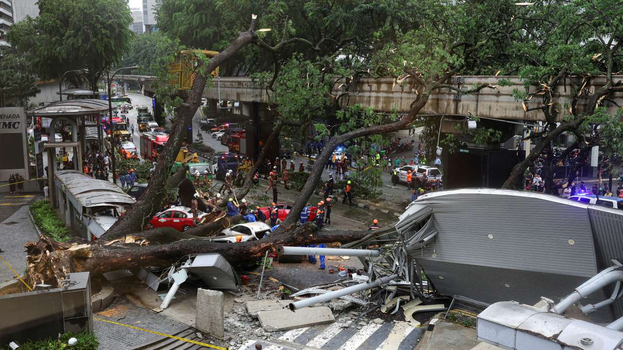 A tree fell across Jalan Raja Chulan, one of the Kuala Lumpur's busiest roads