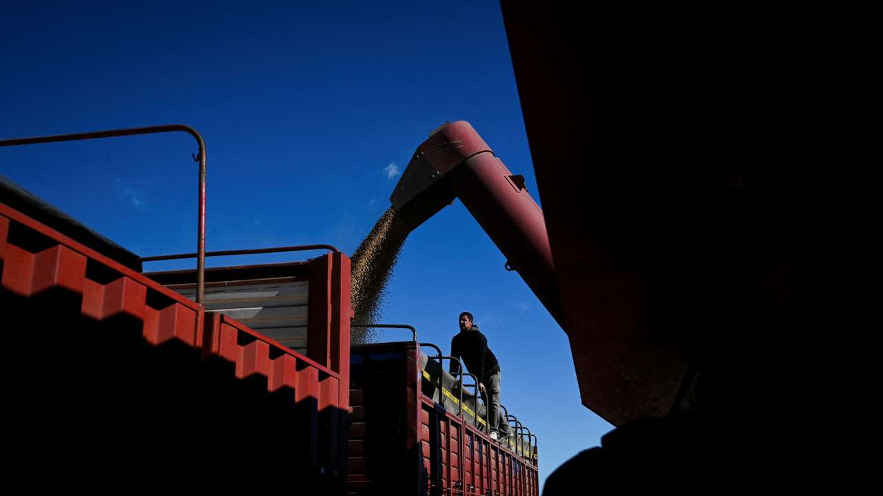 Argentine farmers hurry up to bring in soy with more rains on horizon