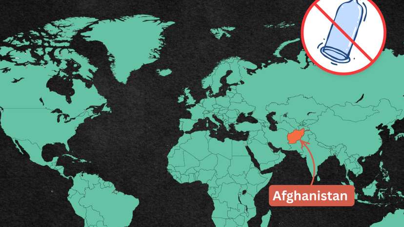 WhatsApp Image 2026-01-13 at 14.10.56