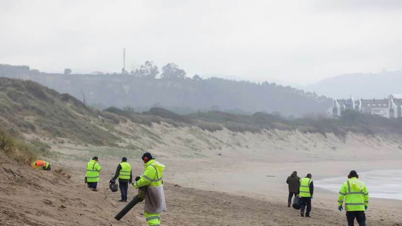 Millions of plastic pellets wash up on Spanish shore