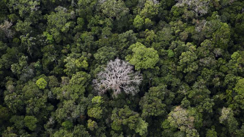The Wider Image: Earthprints: Rio Pardo