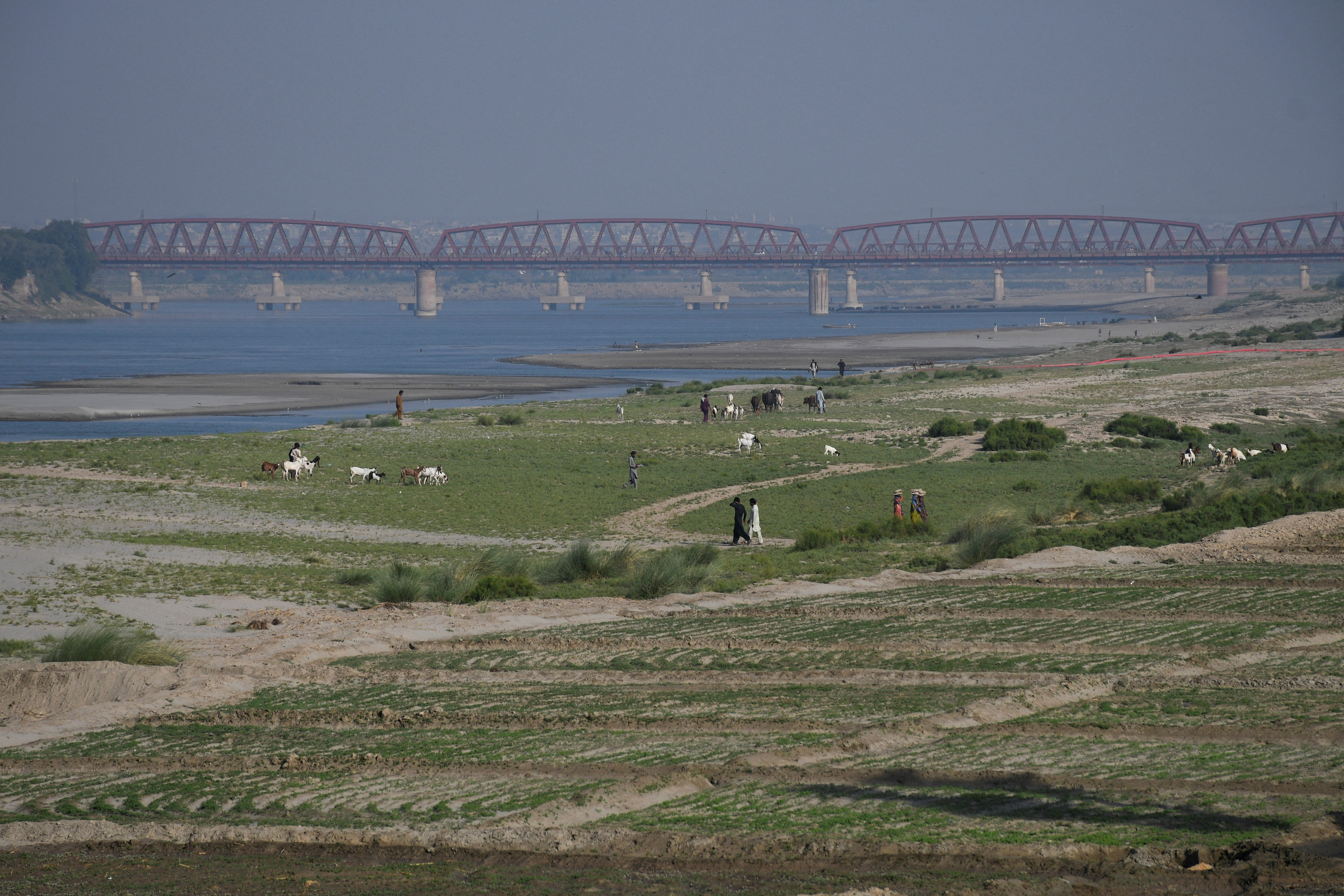 View of a cultivated land on the dry riverbed of the Indus River in Hyderabad