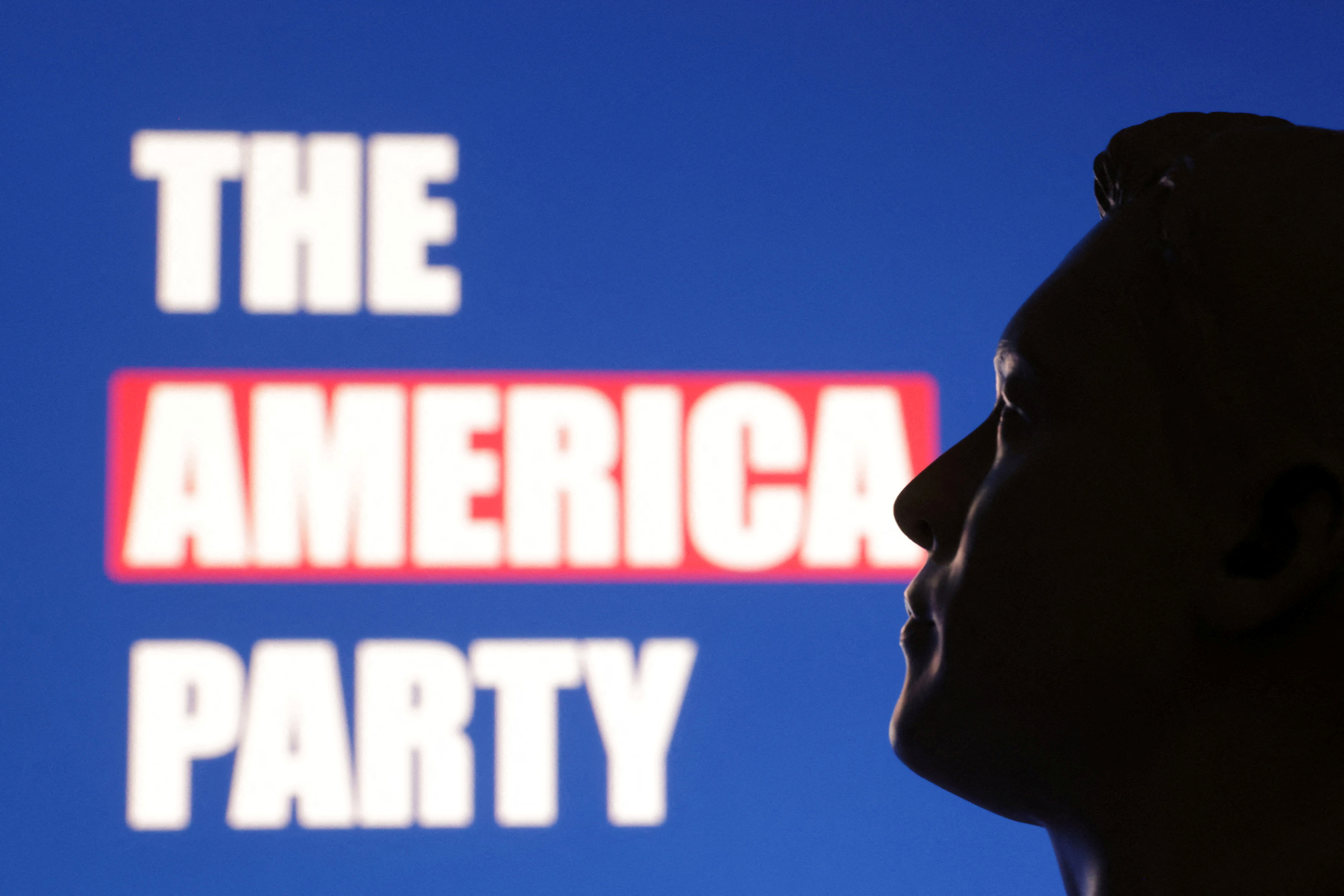 Illustration shows 3D printed miniature depicting Elon Musk and words "The America Party\